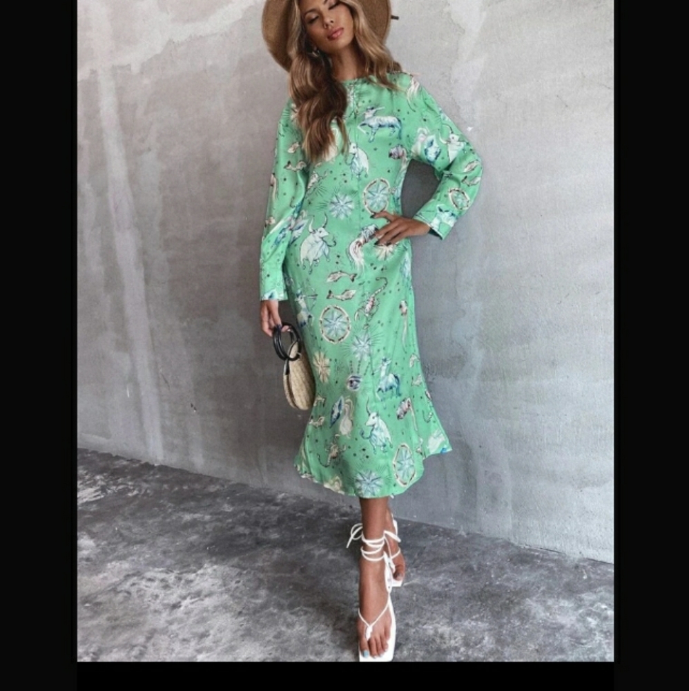 Zara limited edition print dress